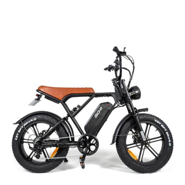 bike-eletrica-v10-goo-eco-mobility